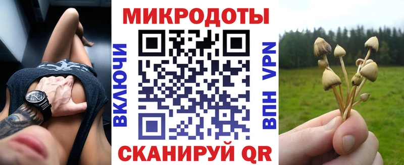 Купить где  Михайлов  Псилоцибиновые грибы Magic Shrooms 